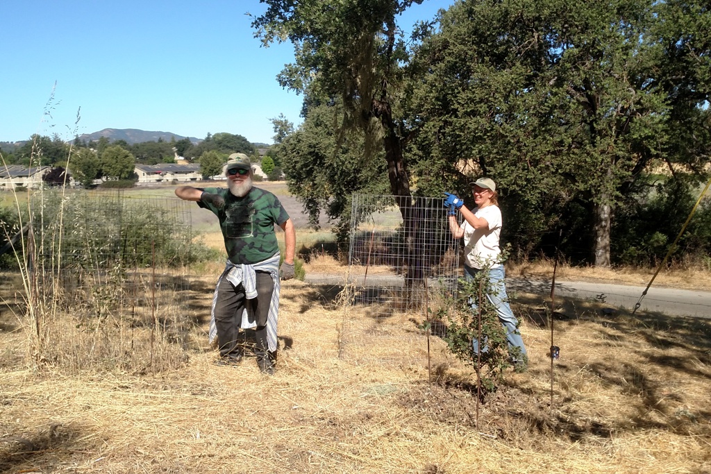 Brent and Meg giving the trees some TLC.